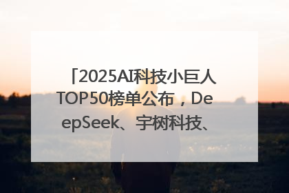 2025AI科技小巨人TOP50榜单公布，DeepSeek、宇树科技、蘑菇车联等企业荣誉上榜