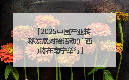 2025中国产业转移发展对接活动(广西)将在南宁举行