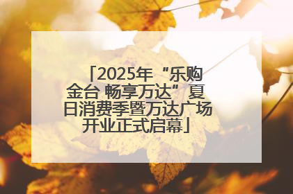 2025年“乐购金台 畅享万达”夏日消费季暨万达广场开业正式启幕