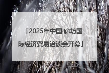 2025年中国·廊坊国际经济贸易洽谈会开幕