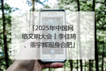 2025年中国网络文明大会丨李佳琦、董宇辉现身合肥