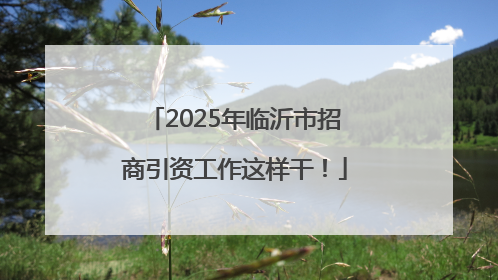 2025年临沂市招商引资工作这样干！
