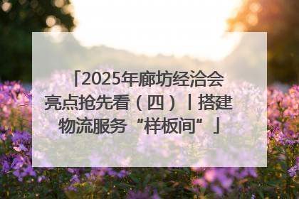 2025年廊坊经洽会亮点抢先看（四）丨搭建物流服务“样板间”