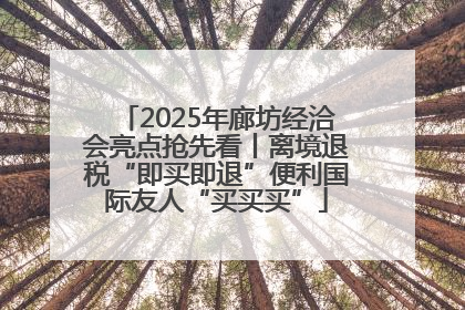 2025年廊坊经洽会亮点抢先看丨离境退税“即买即退”便利国际友人“买买买”