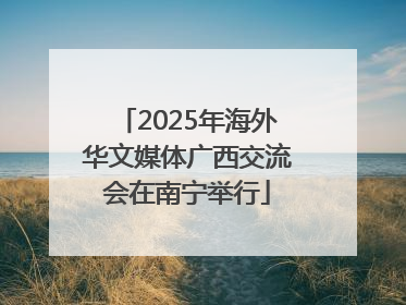 2025年海外华文媒体广西交流会在南宁举行