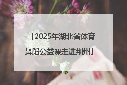 2025年湖北省体育舞蹈公益课走进荆州