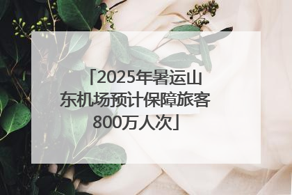 2025年暑运山东机场预计保障旅客800万人次