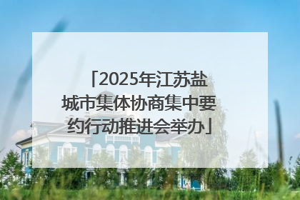 2025年江苏盐城市集体协商集中要约行动推进会举办