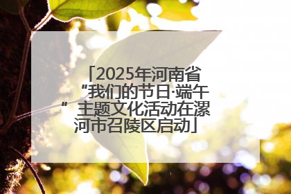 2025年河南省“我们的节日·端午”主题文化活动在漯河市召陵区启动