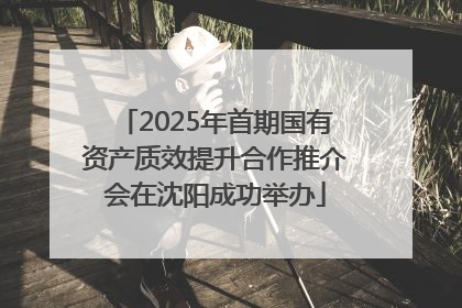 2025年首期国有资产质效提升合作推介会在沈阳成功举办