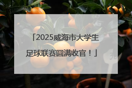 2025威海市大学生足球联赛圆满收官！