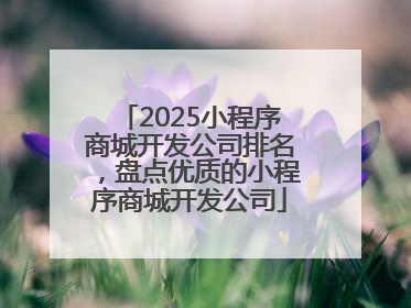 2025小程序商城开发公司排名，盘点优质的小程序商城开发公司