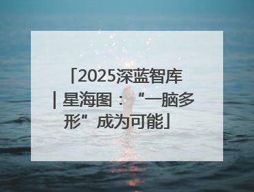 2025深蓝智库｜星海图：“一脑多形”成为可能