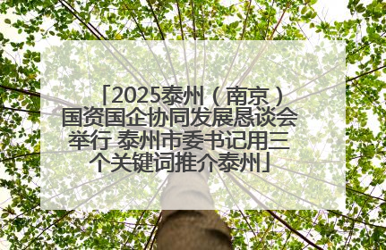 2025泰州（南京）国资国企协同发展恳谈会举行 泰州市委书记用三个关键词推介泰州