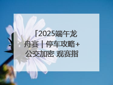 2025端午龙舟赛｜停车攻略+公交加密 观赛指南来了！