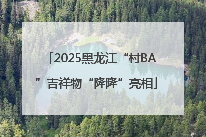 2025黑龙江“村BA”吉祥物“隆隆”亮相