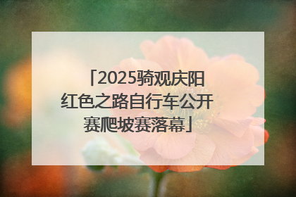 2025骑观庆阳红色之路自行车公开赛爬坡赛落幕
