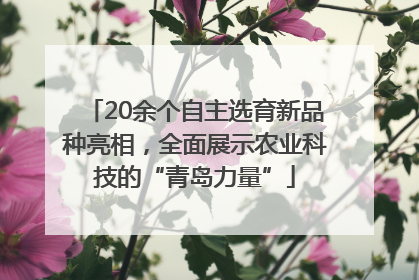 20余个自主选育新品种亮相，全面展示农业科技的“青岛力量”