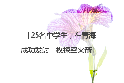 25名中学生，在青海成功发射一枚探空火箭