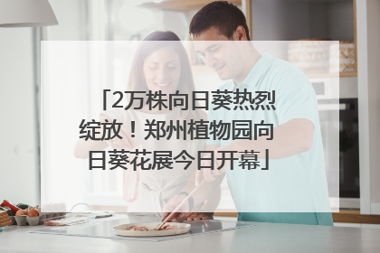 2万株向日葵热烈绽放！郑州植物园向日葵花展今日开幕