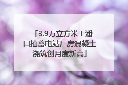 3.9万立方米！潘口抽蓄电站厂房混凝土浇筑创月度新高