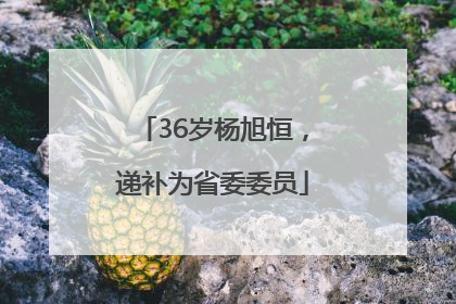 36岁杨旭恒，递补为省委委员