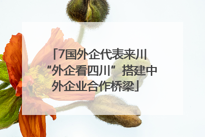 7国外企代表来川 “外企看四川”搭建中外企业合作桥梁