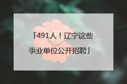 491人！辽宁这些事业单位公开招聘