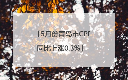 5月份青岛市CPI同比上涨0.3%
