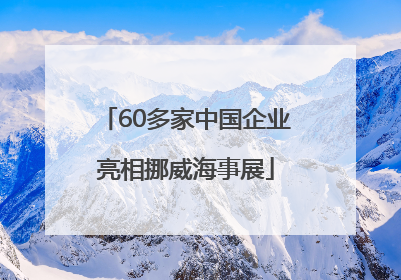 60多家中国企业亮相挪威海事展