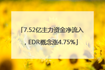 7.52亿主力资金净流入，EDR概念涨4.75%