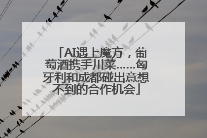 AI遇上魔方，葡萄酒携手川菜……匈牙利和成都碰出意想不到的合作机会