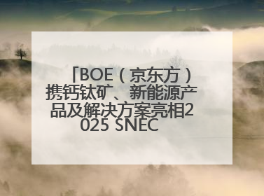 BOE（京东方）携钙钛矿、新能源产品及解决方案亮相2025 SNEC 科技创新赋能行业绿色发展