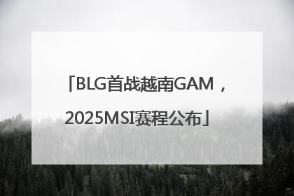 BLG首战越南GAM，2025MSI赛程公布
