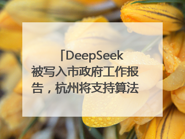 DeepSeek被写入市政府工作报告，杭州将支持算法模型企业发展