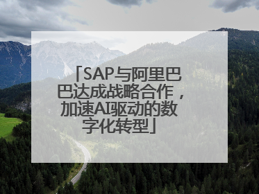 SAP与阿里巴巴达成战略合作，加速AI驱动的数字化转型