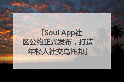 Soul App社区公约正式发布，打造年轻人社交乌托邦