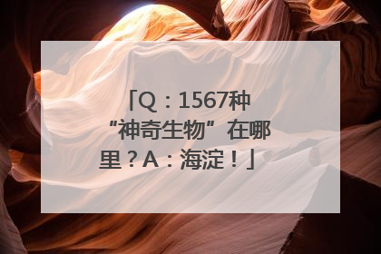 Q：1567种“神奇生物”在哪里？A：海淀！